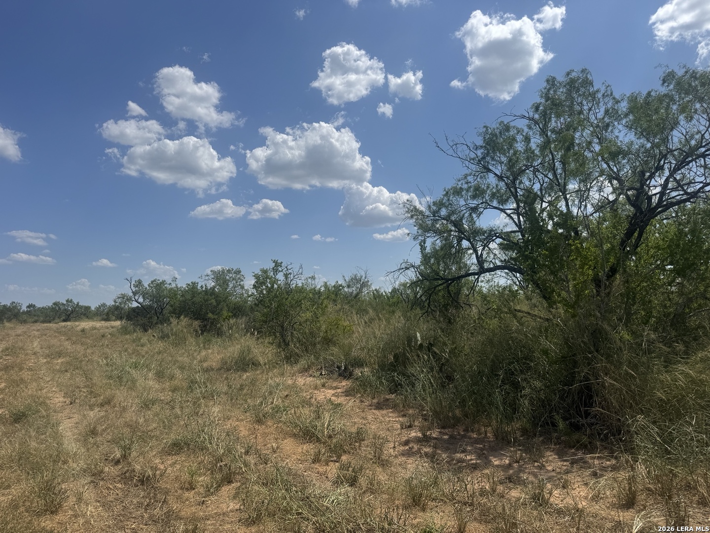 000 14th Street Christine TX 78012