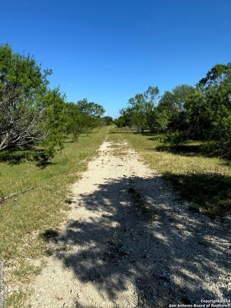 5153 Jim Brite Road Pleasanton TX 78064