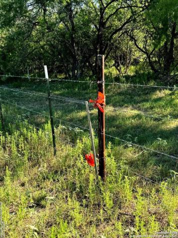 5153 Jim Brite Road Pleasanton TX 78064