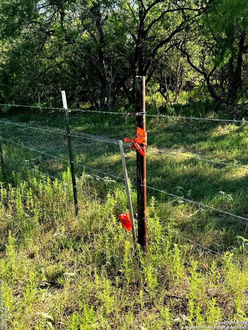 5153 Jim Brite Road Pleasanton TX 78064