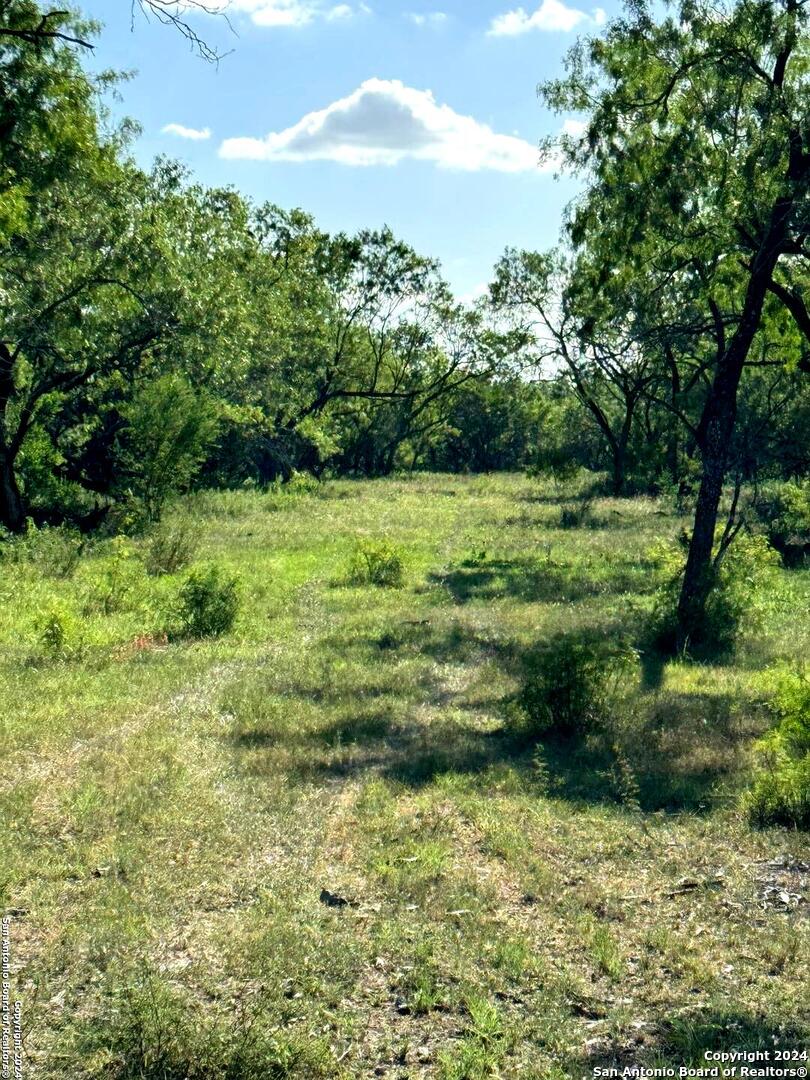 5153 Jim Brite Road Pleasanton TX 78064