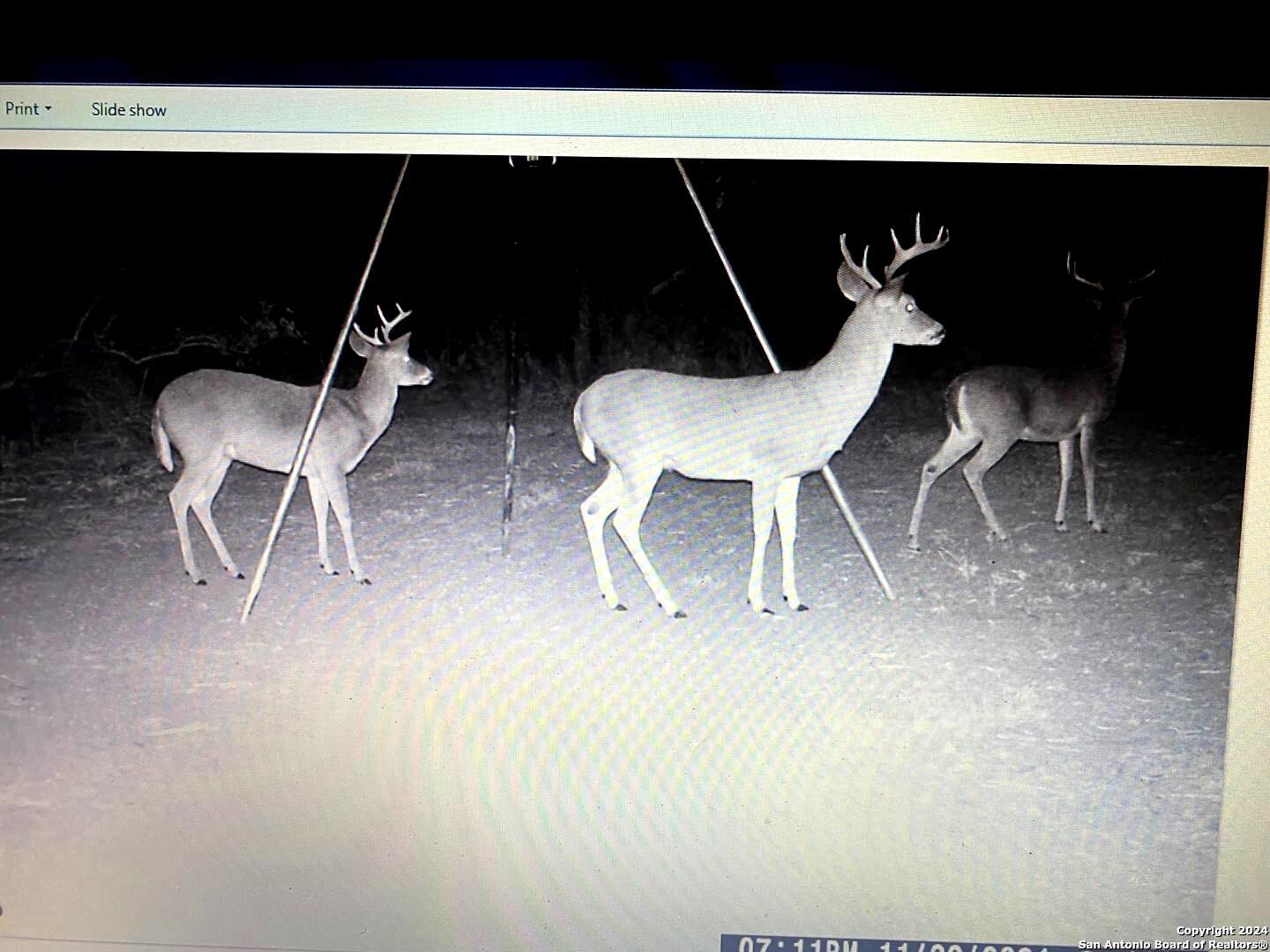 5153 Jim Brite Road Pleasanton TX 78064