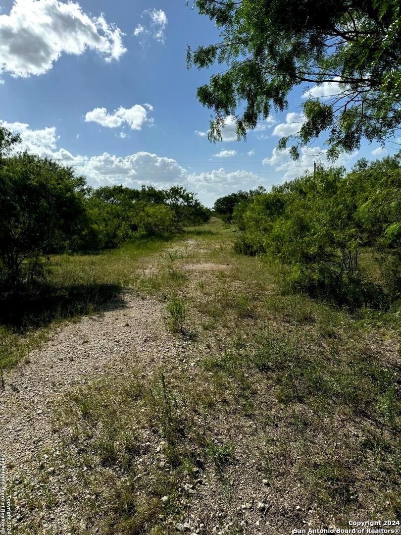 5153 Jim Brite Road Pleasanton TX 78064