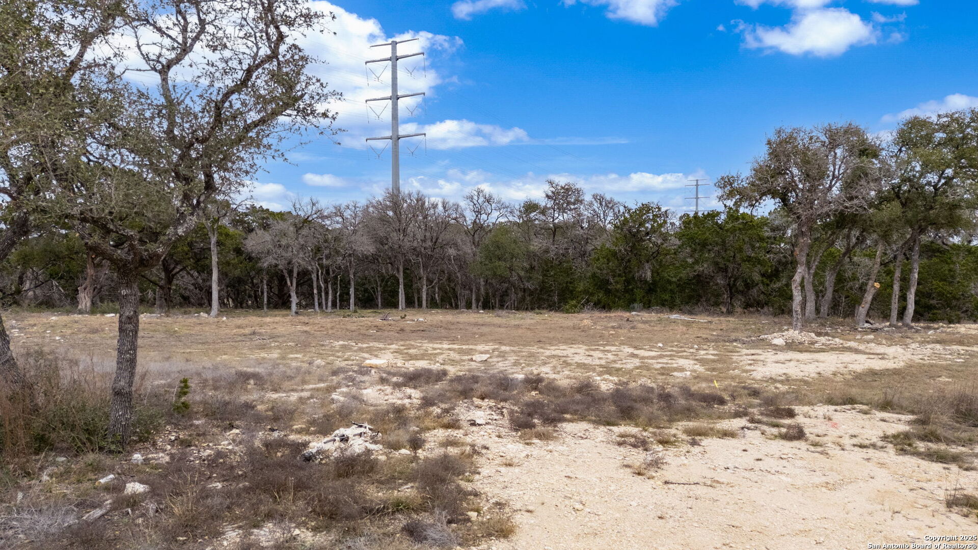 688 Travis Forest Bulverde TX 78163
