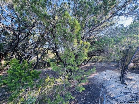 169 Center Point Road Bandera TX 78003