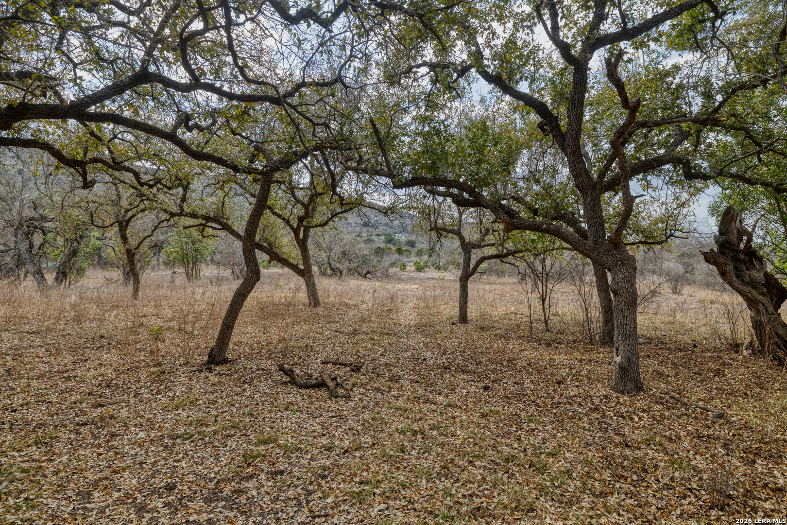 292 Private Road 2430 Uvalde TX 78801