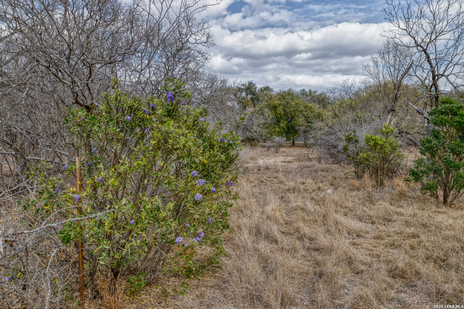 292 Private Road 2430 Uvalde TX 78801