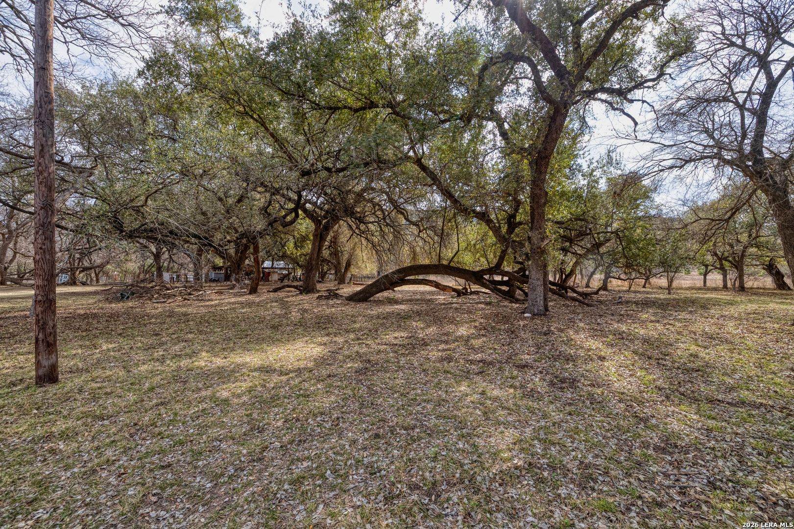 292 Private Road 2430 Uvalde TX 78801