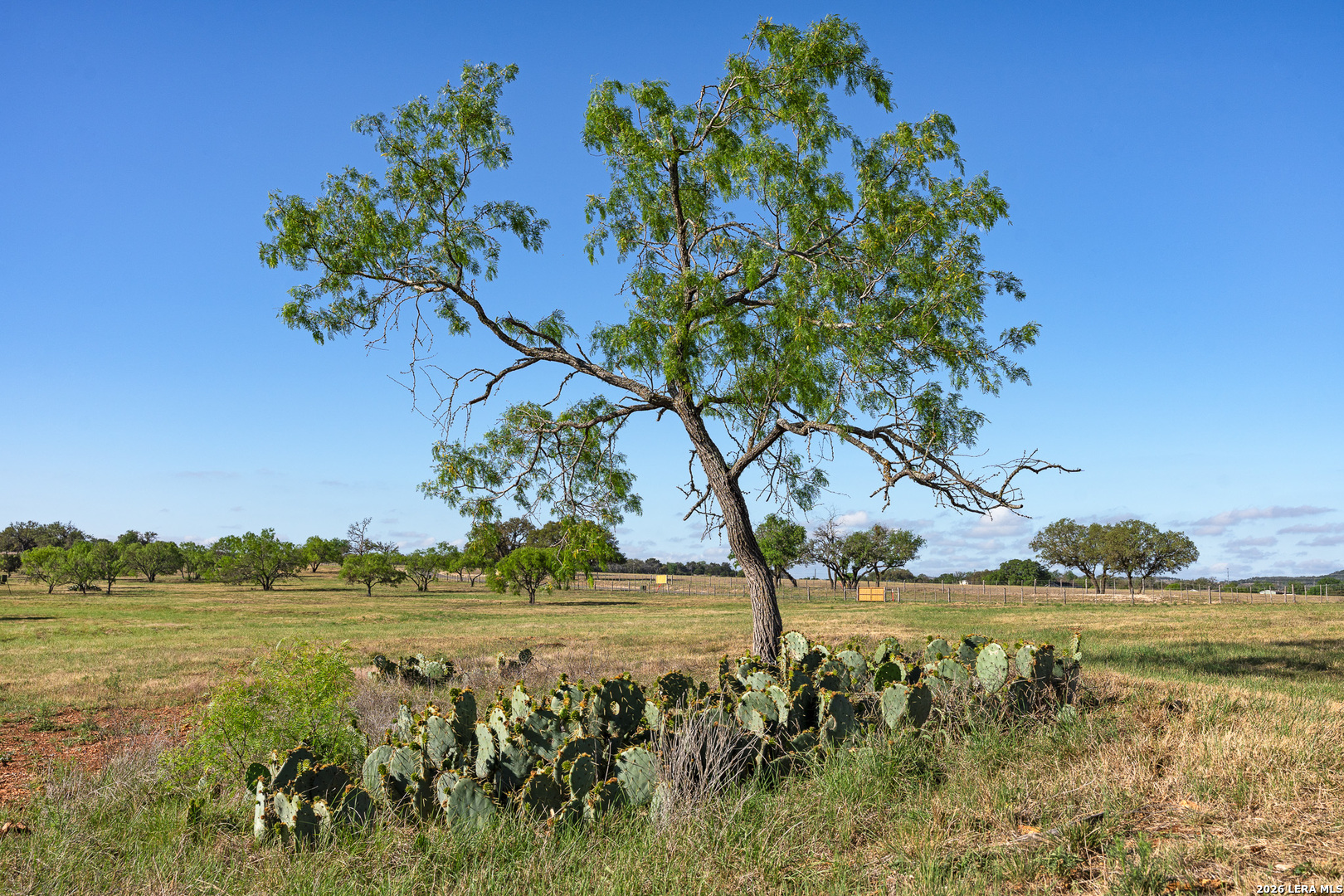 0016 Clearwater Comfort TX 78013
