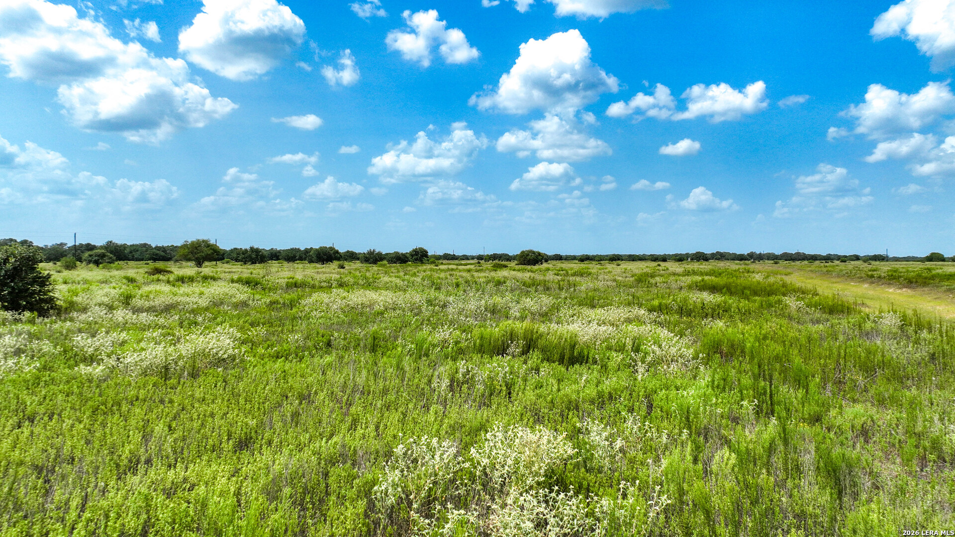 000 Teal Lane Columbus TX 78934