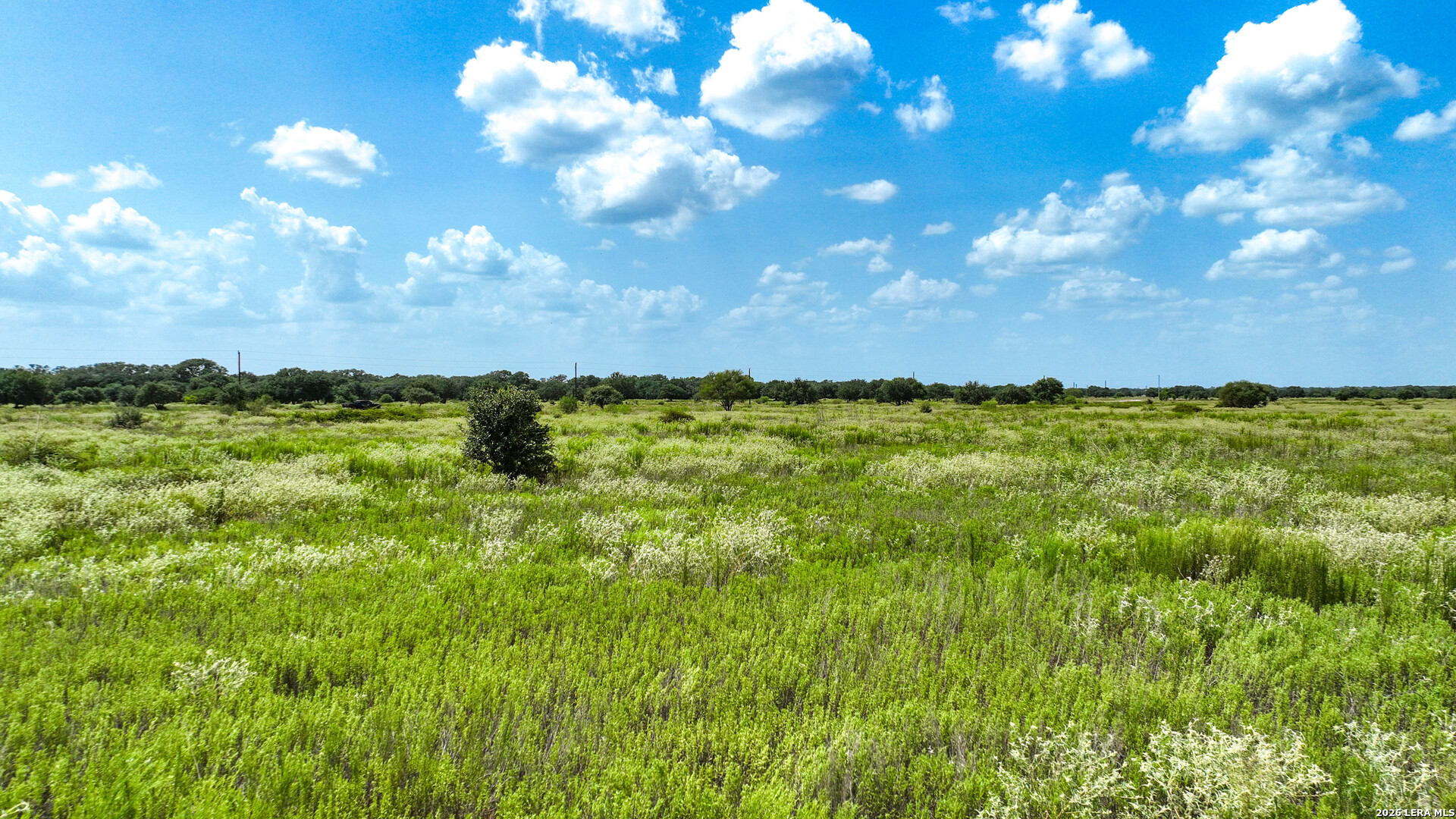 000 Teal Lane Columbus TX 78934