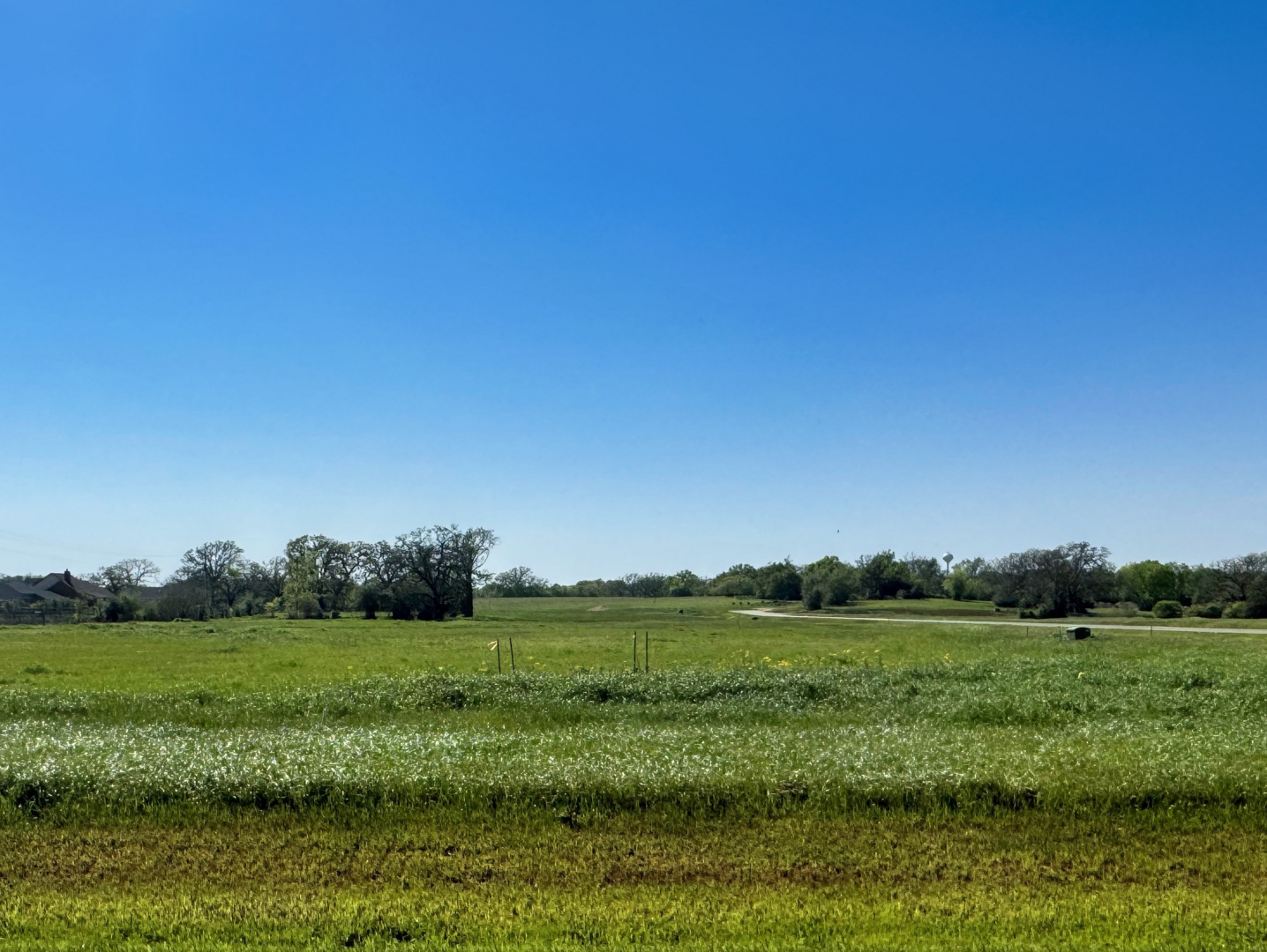 9971 Hidden Pond Drive Iola TX 77861
