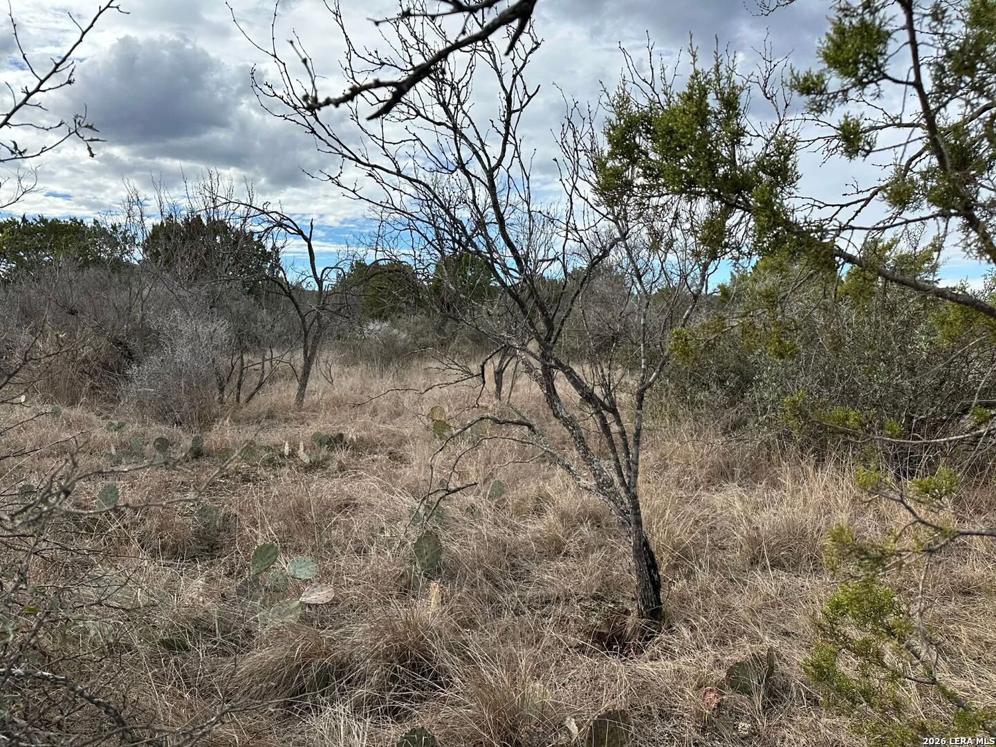 0 Cr 311 Junction TX 76849