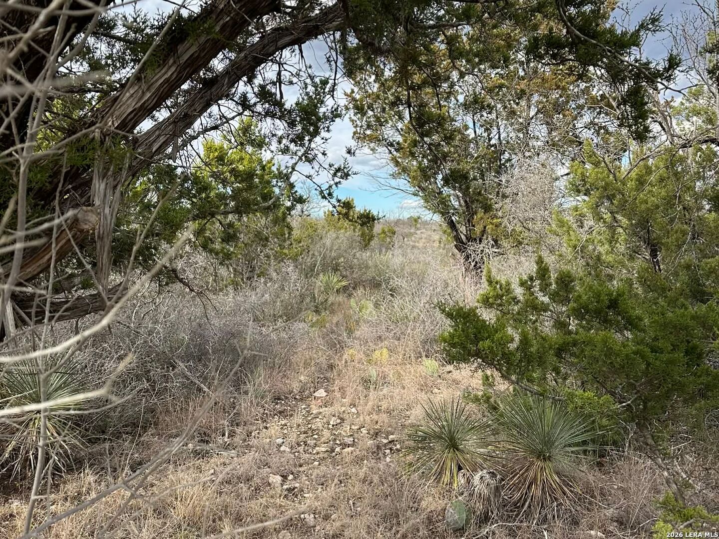 0 Cr 311 Junction TX 76849