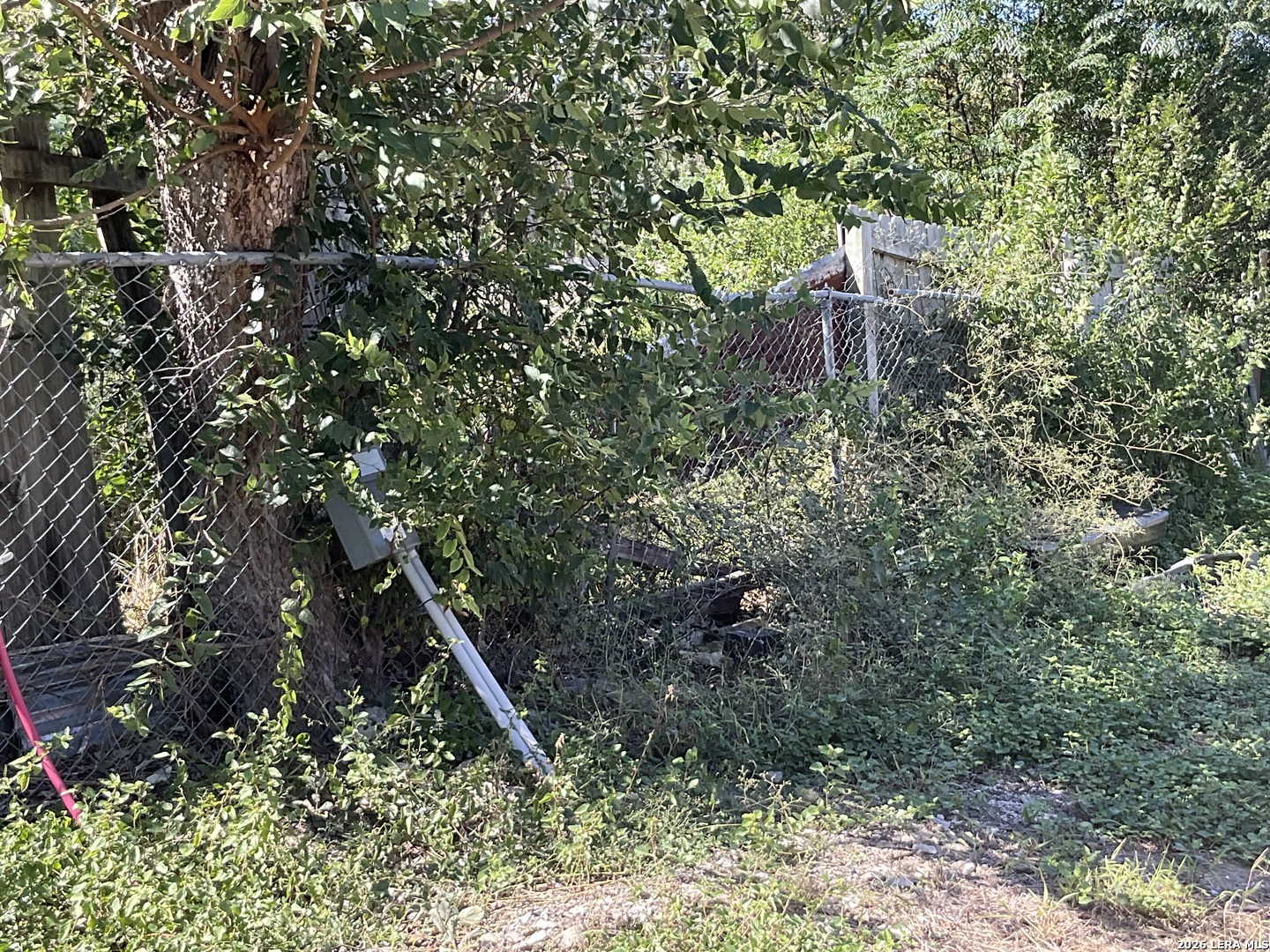 11908 Manzanita San Antonio TX 78245