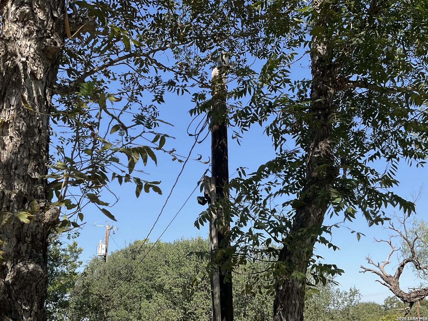 11908 Manzanita San Antonio TX 78245