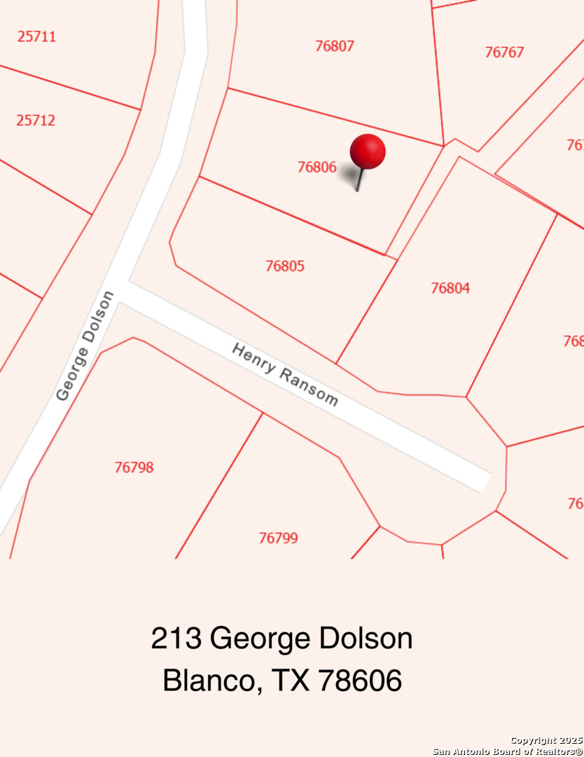 213 George Dolson Blanco TX 78606