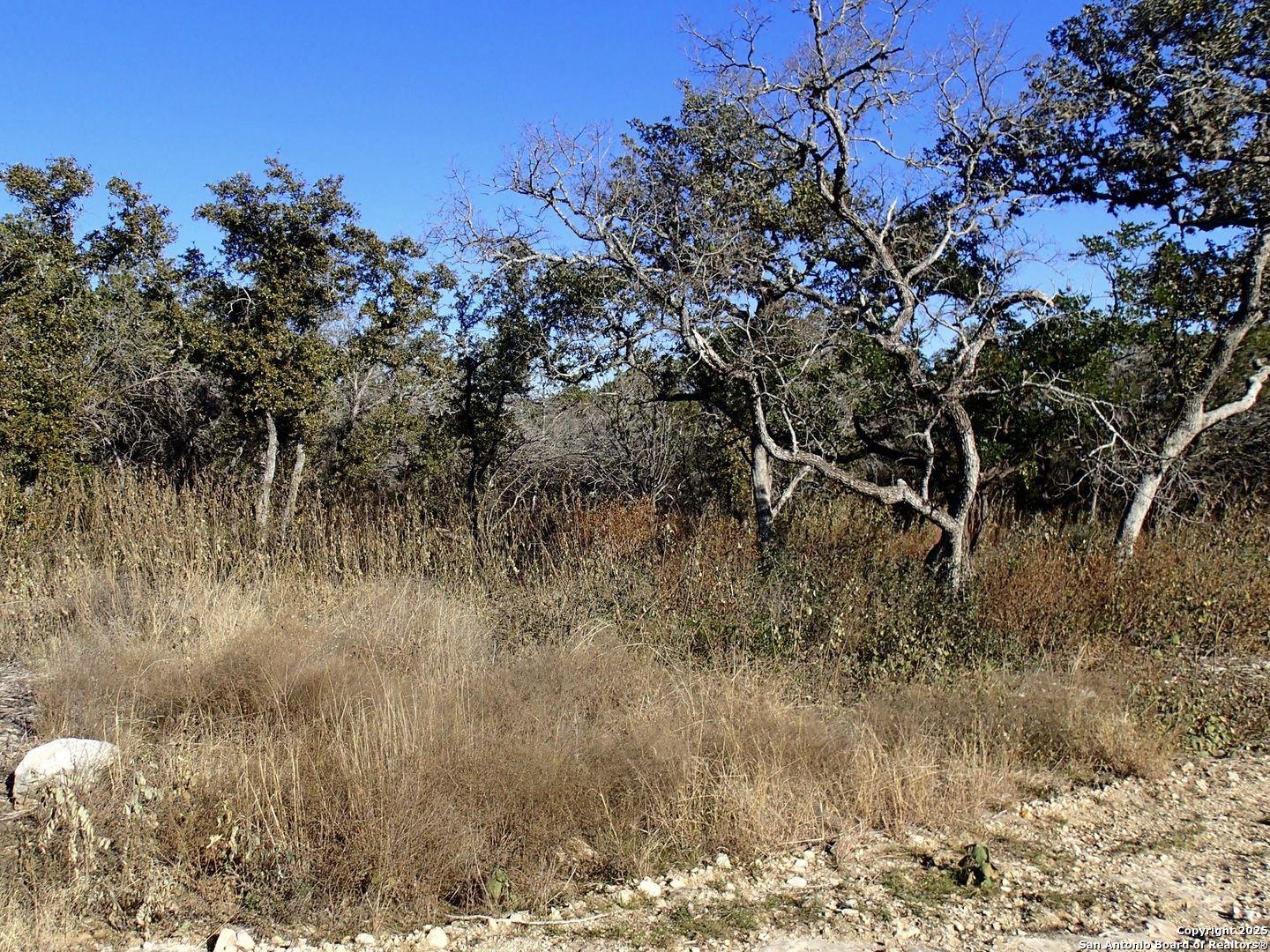 Lot 119 Grand Oaks Hondo TX 78861