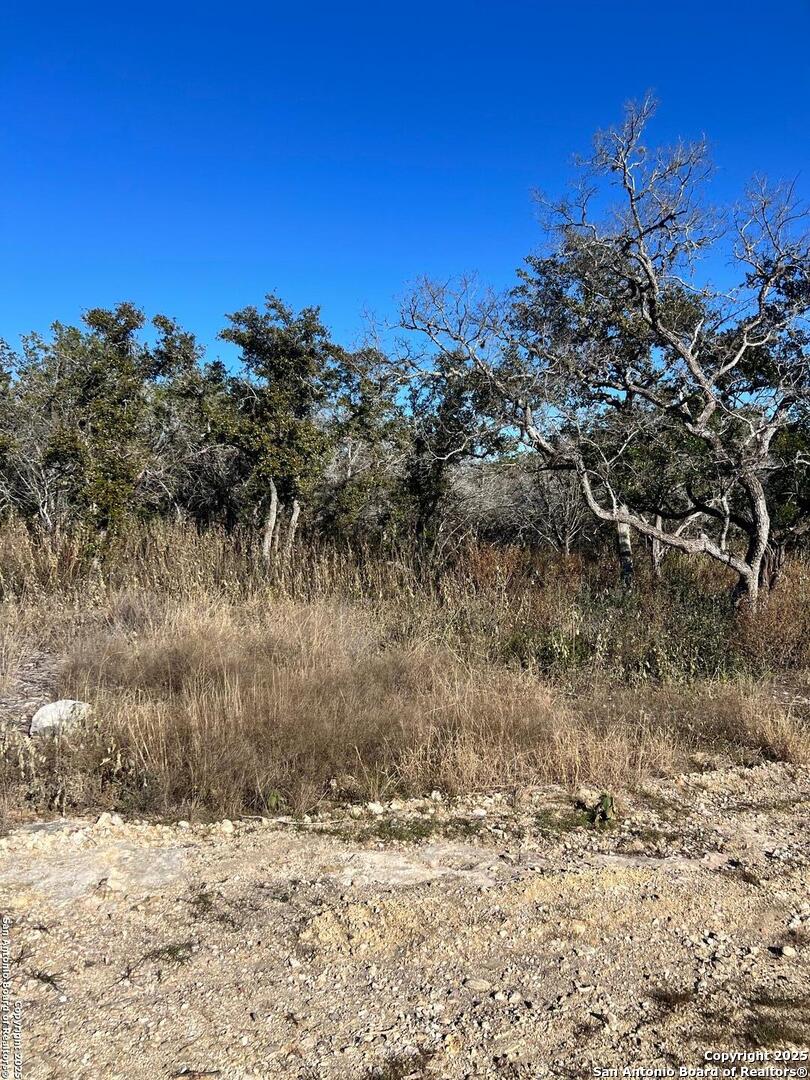 Lot 119 Grand Oaks Hondo TX 78861