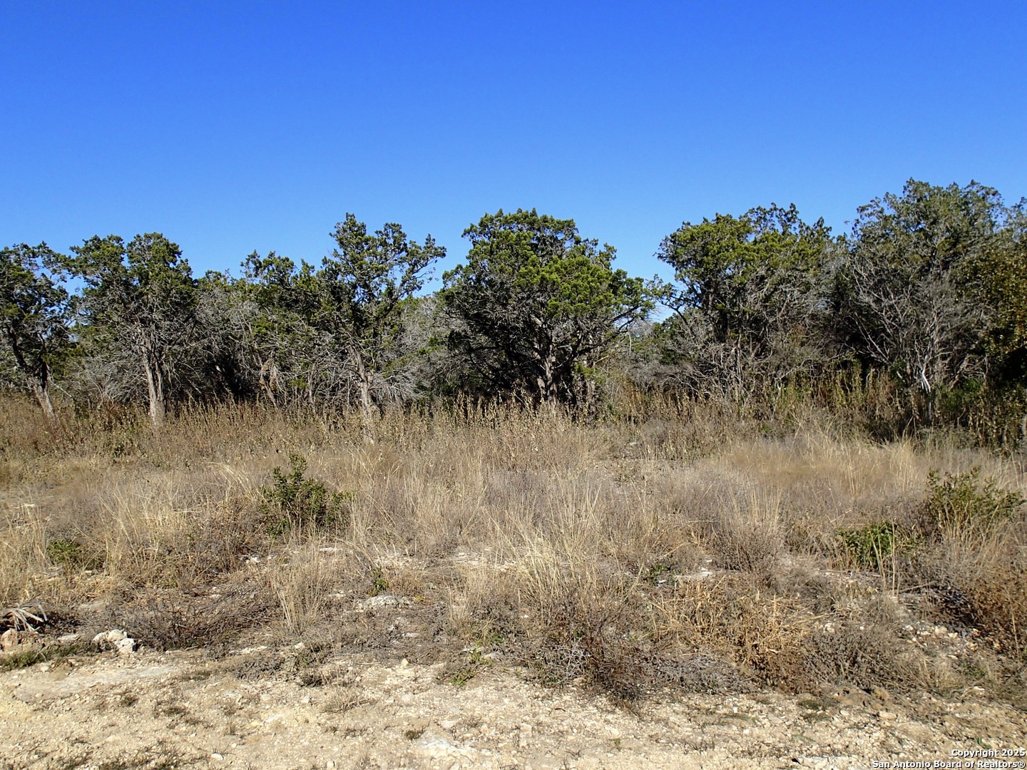 Lot 119 Grand Oaks Hondo TX 78861