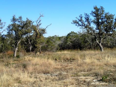 Lot 119 Grand Oaks Hondo TX 78861