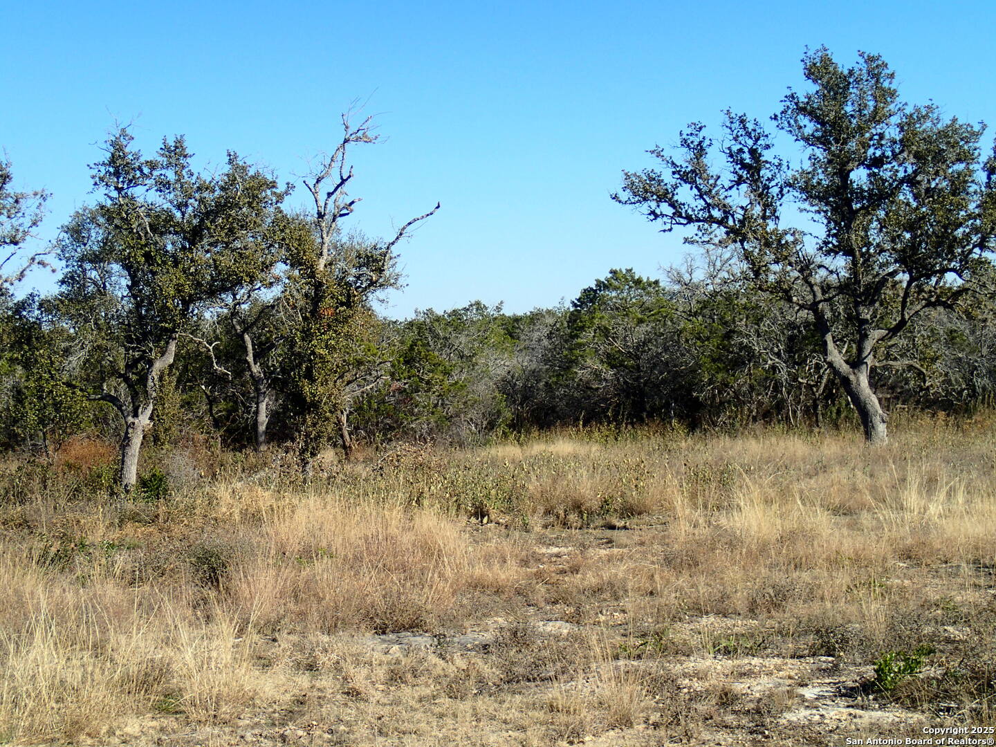 Lot 119 Grand Oaks Hondo TX 78861