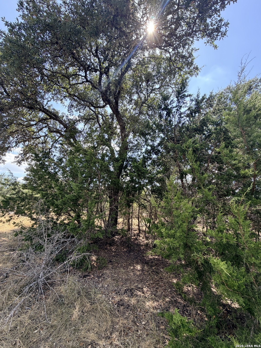 463 Lantana Mesa Spring Branch TX 78070