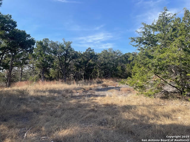 426 Coneflower Drive Spring Branch TX 78070