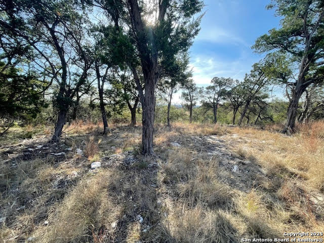 426 Coneflower Drive Spring Branch TX 78070