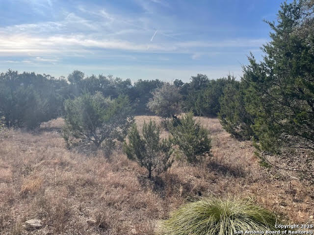 426 Coneflower Drive Spring Branch TX 78070