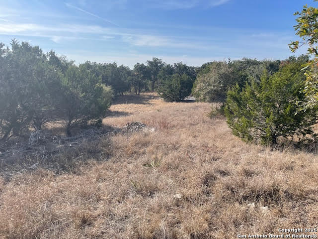 426 Coneflower Drive Spring Branch TX 78070