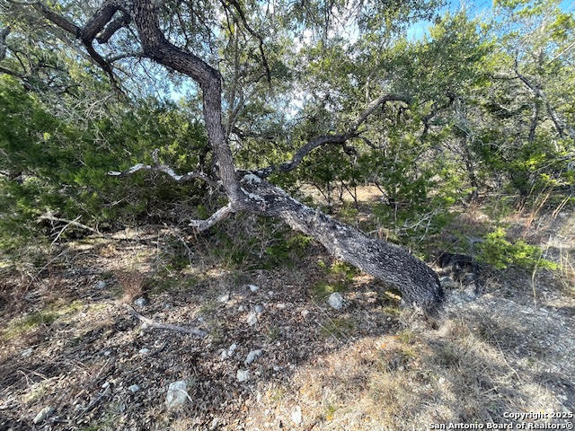426 Coneflower Drive Spring Branch TX 78070