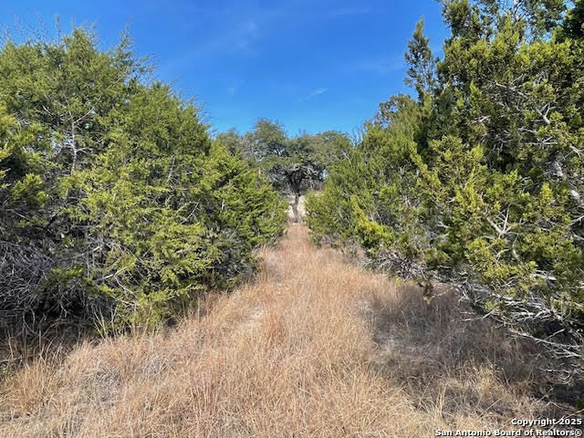 426 Coneflower Drive Spring Branch TX 78070