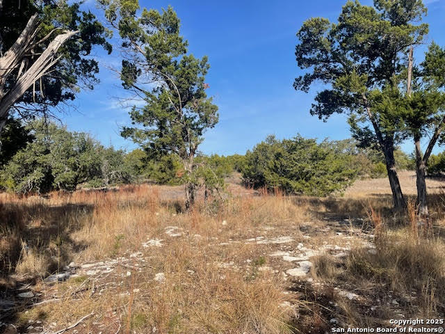 426 Coneflower Drive Spring Branch TX 78070