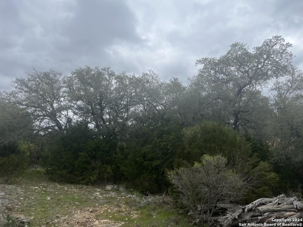192 Macaw Lane Spring Branch TX 78070