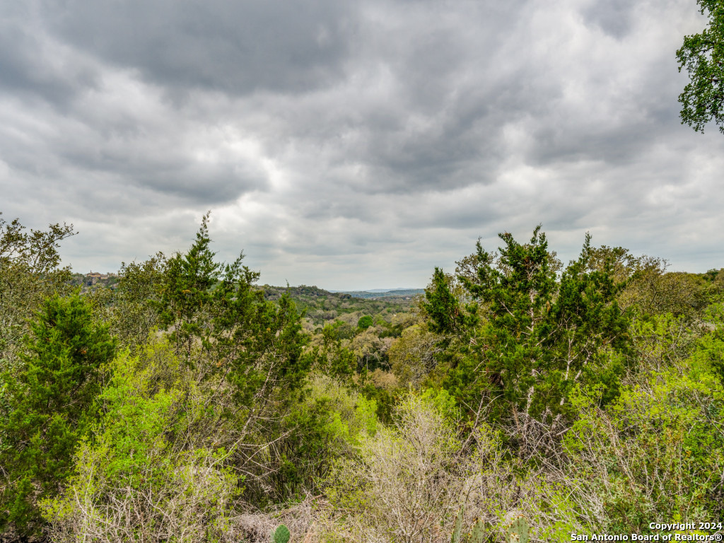 192 Macaw Lane Spring Branch TX 78070