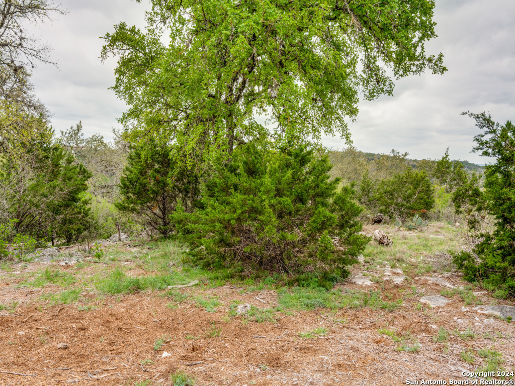 192 Macaw Lane Spring Branch TX 78070