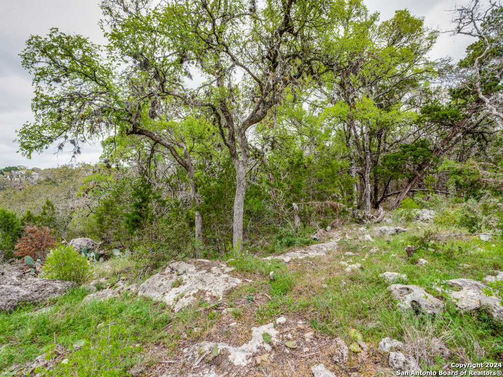 192 Macaw Lane Spring Branch TX 78070
