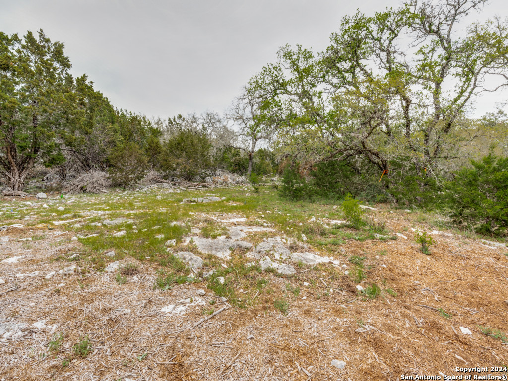 192 Macaw Lane Spring Branch TX 78070