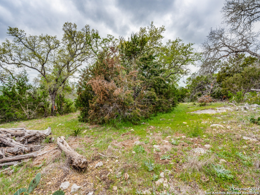 192 Macaw Lane Spring Branch TX 78070