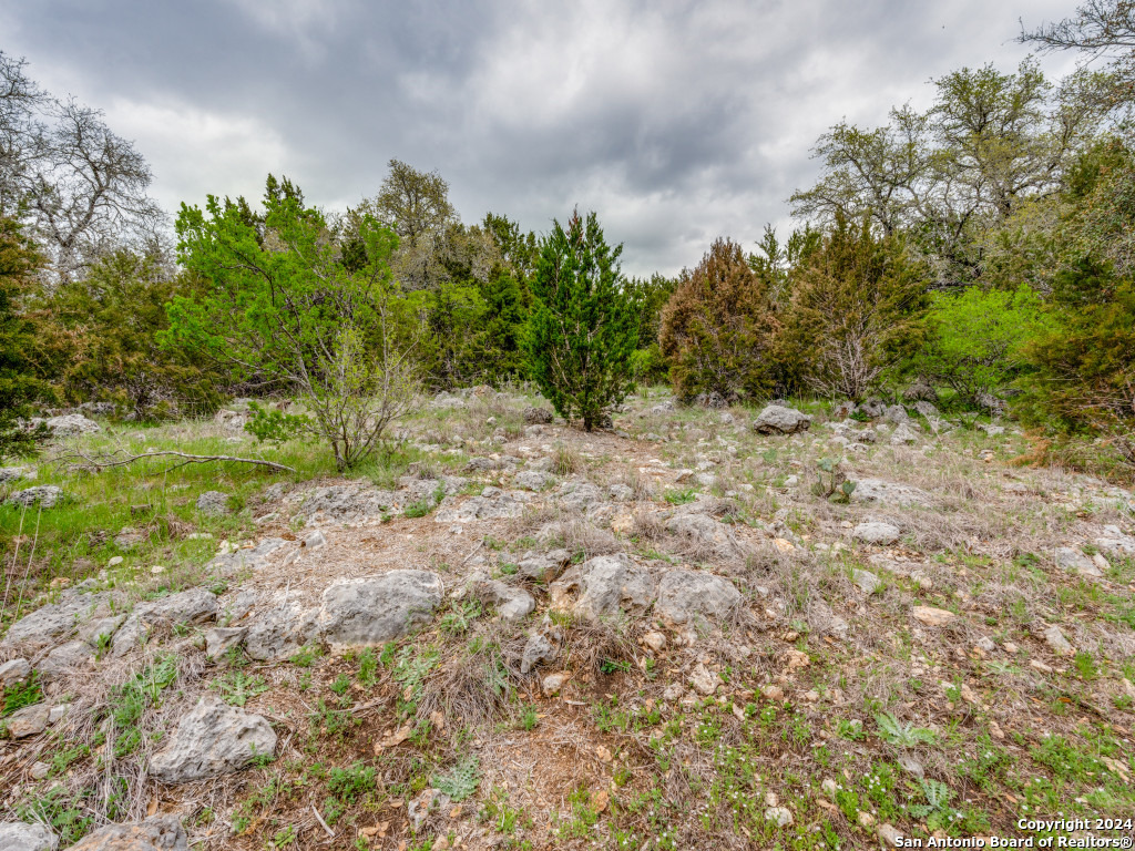 192 Macaw Lane Spring Branch TX 78070