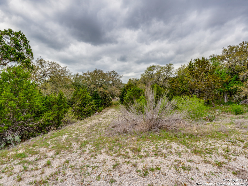 192 Macaw Lane Spring Branch TX 78070