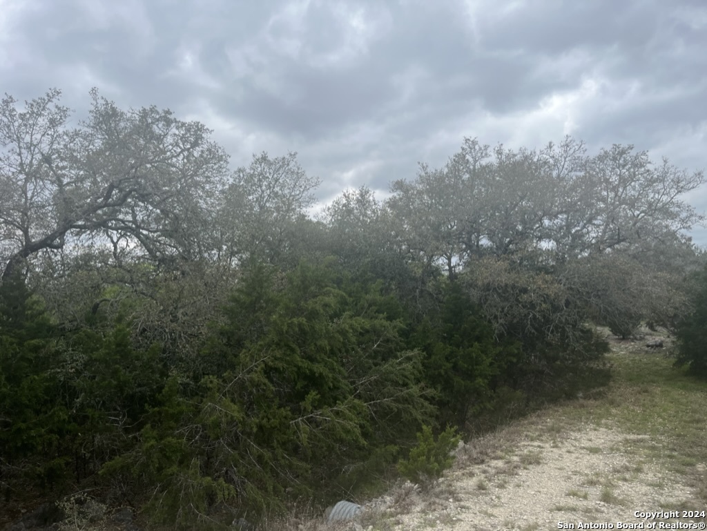 192 Macaw Lane Spring Branch TX 78070