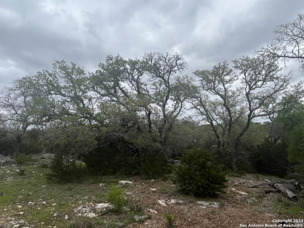 192 Macaw Lane Spring Branch TX 78070