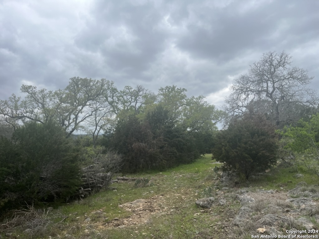 192 Macaw Lane Spring Branch TX 78070