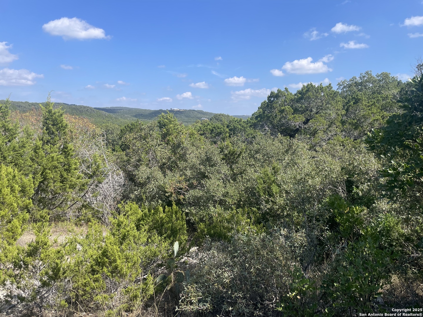 320 Private Road 1742 Mico TX 78056
