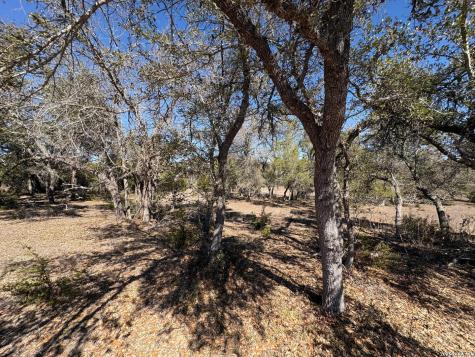 552 (LOT 2002) Rock Trail Spring Branch TX 78070