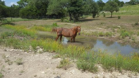 552 (LOT 2002) Rock Trail Spring Branch TX 78070