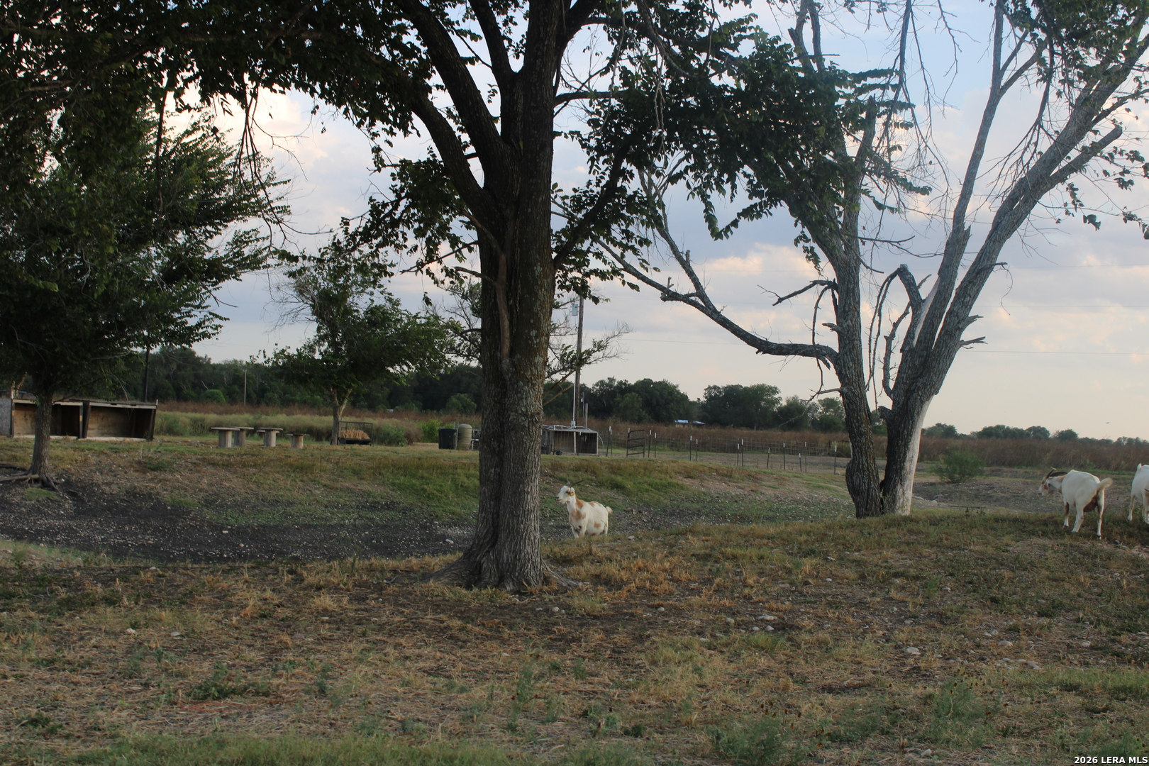 4387 Lower Seguin Cibolo TX 78108