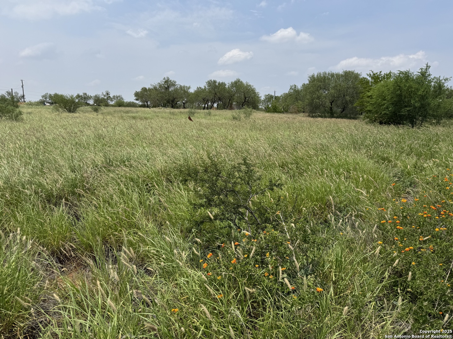 2200 S Interstate 35 Cotulla TX 78014